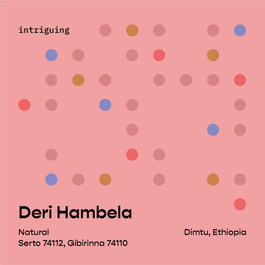 Deri Hambela