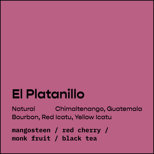 El Platanillo