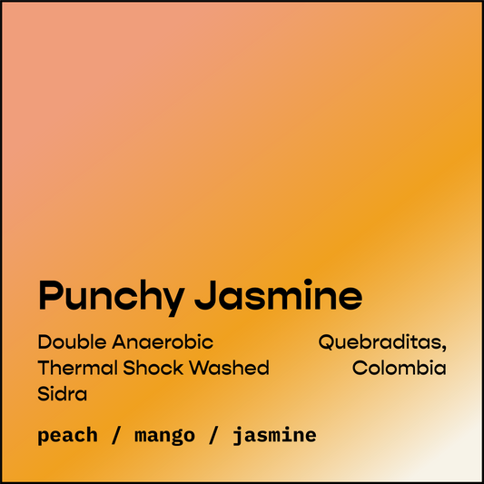 Colombia Punchy Jasmine Sidra